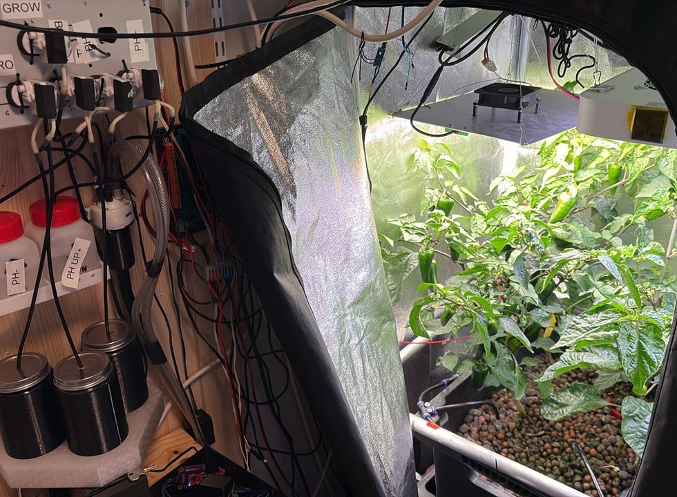 MakersHydro hydroponic grow